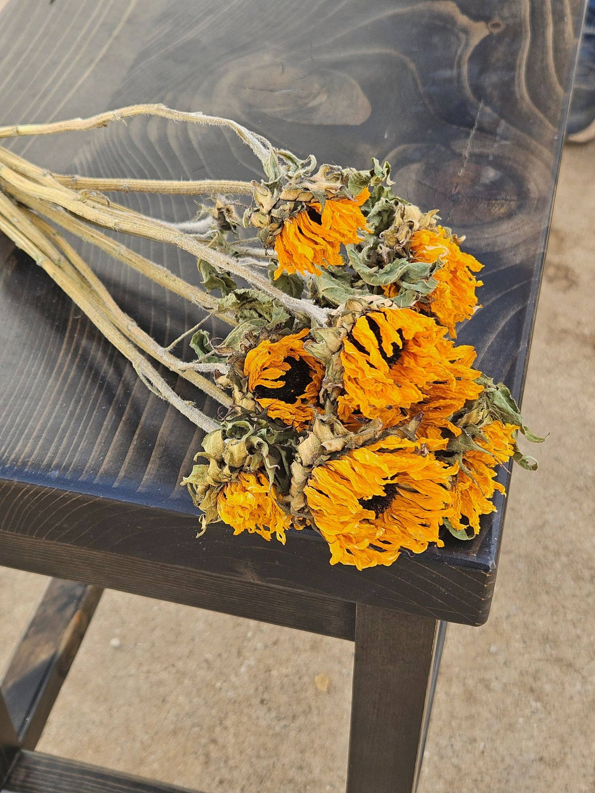 Dried Black-Eyed Sunflowers