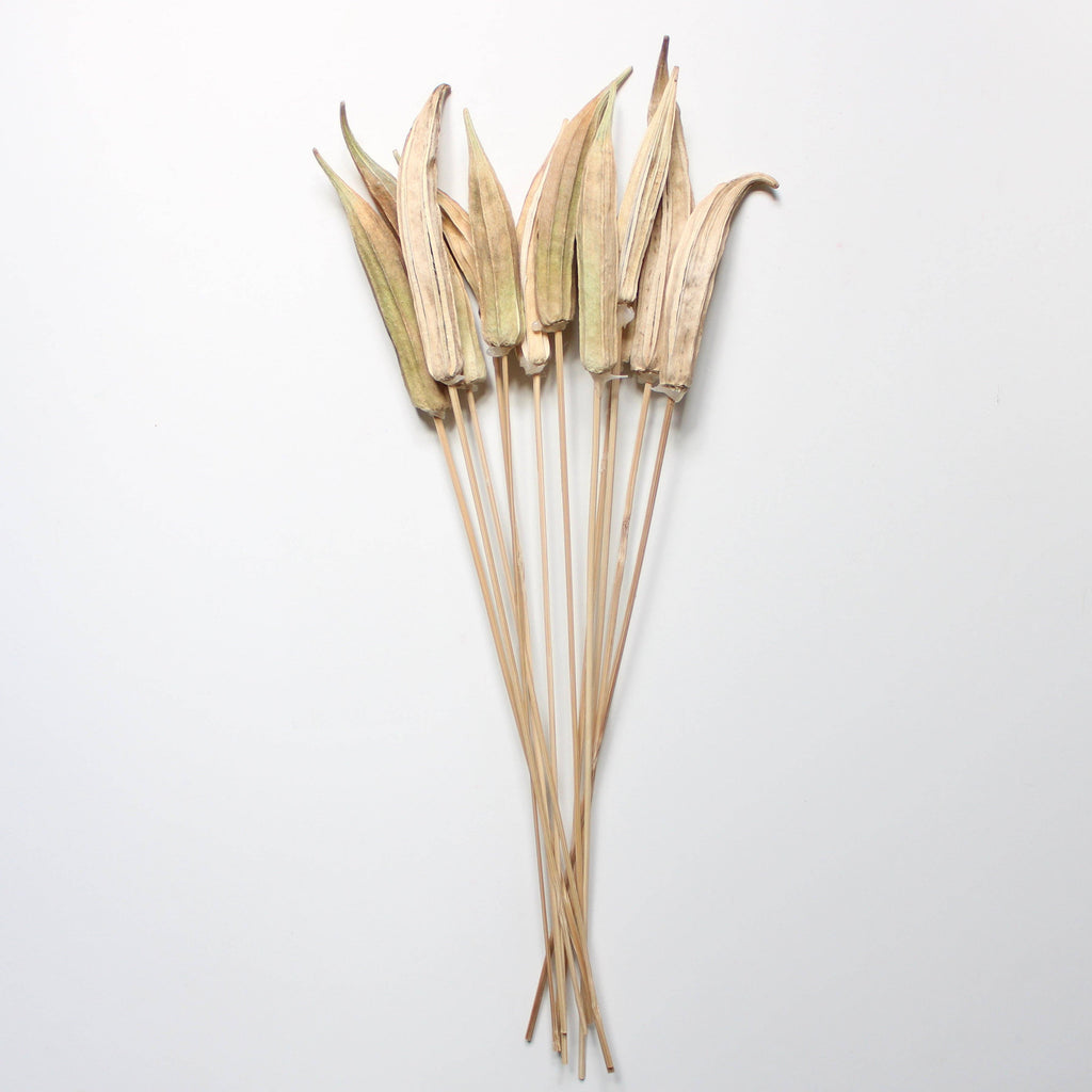 Dried Okra on Natural Stems (12 Stems)