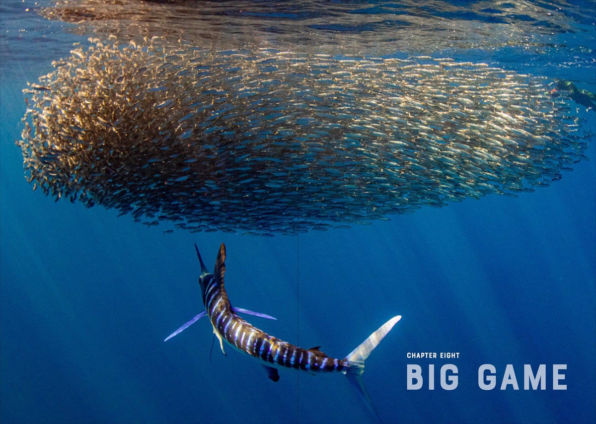 The Catch of a Lifetime