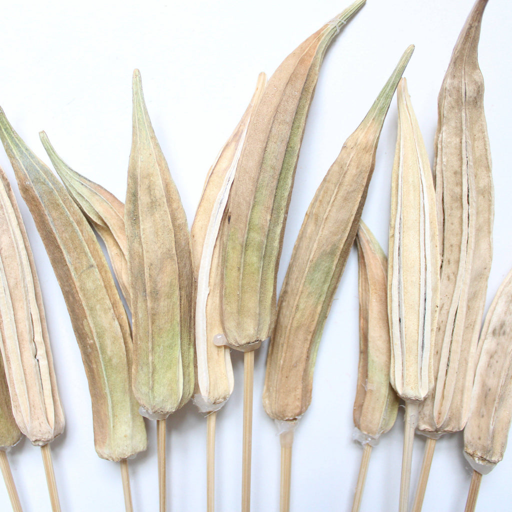 Dried Okra on Natural Stems (12 Stems)