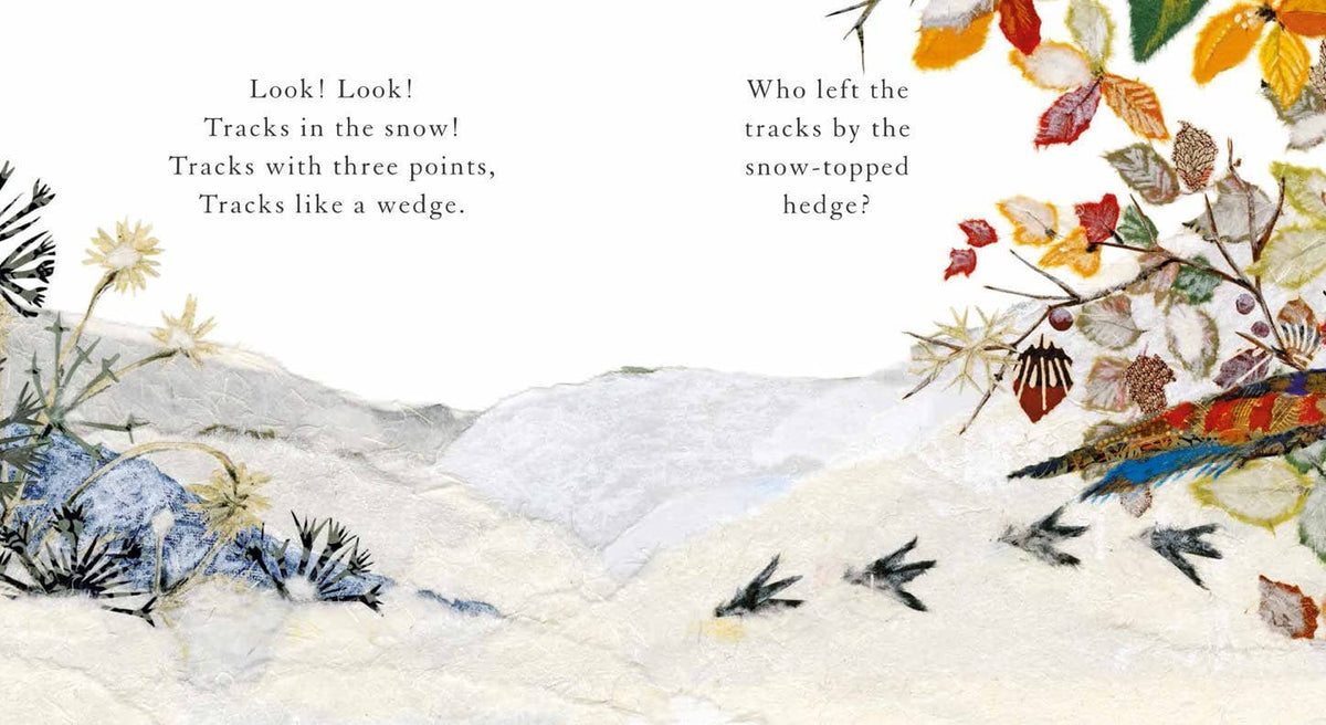 Whose Tracks in the Snow?