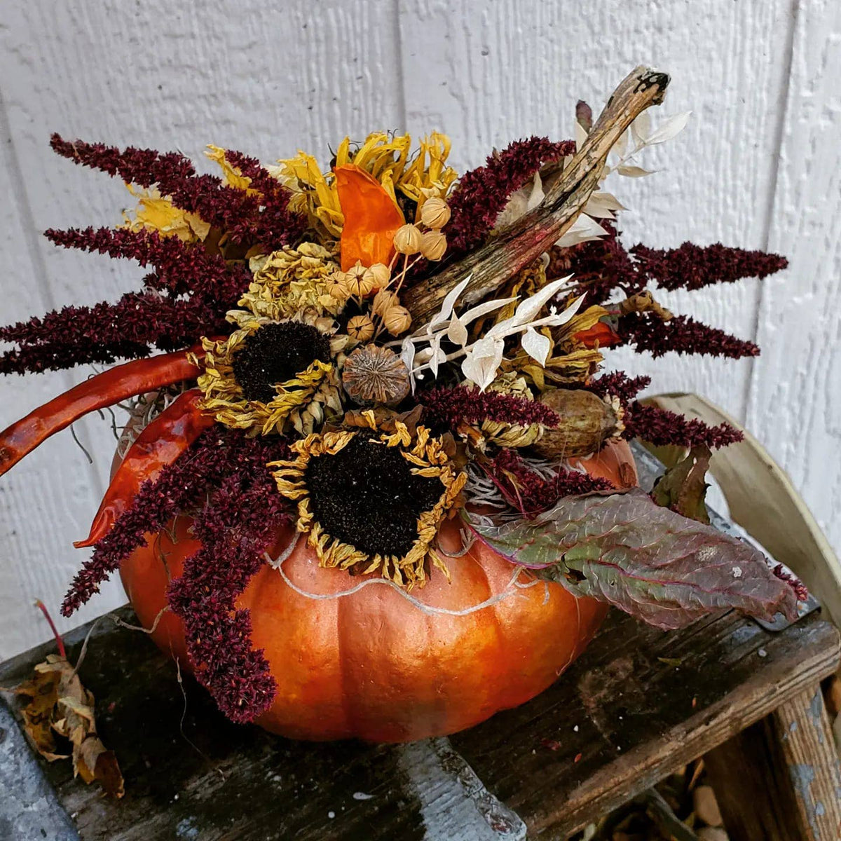 Dried Black-Eyed Sunflowers