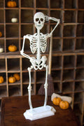 Rustic White Metal Skeleton