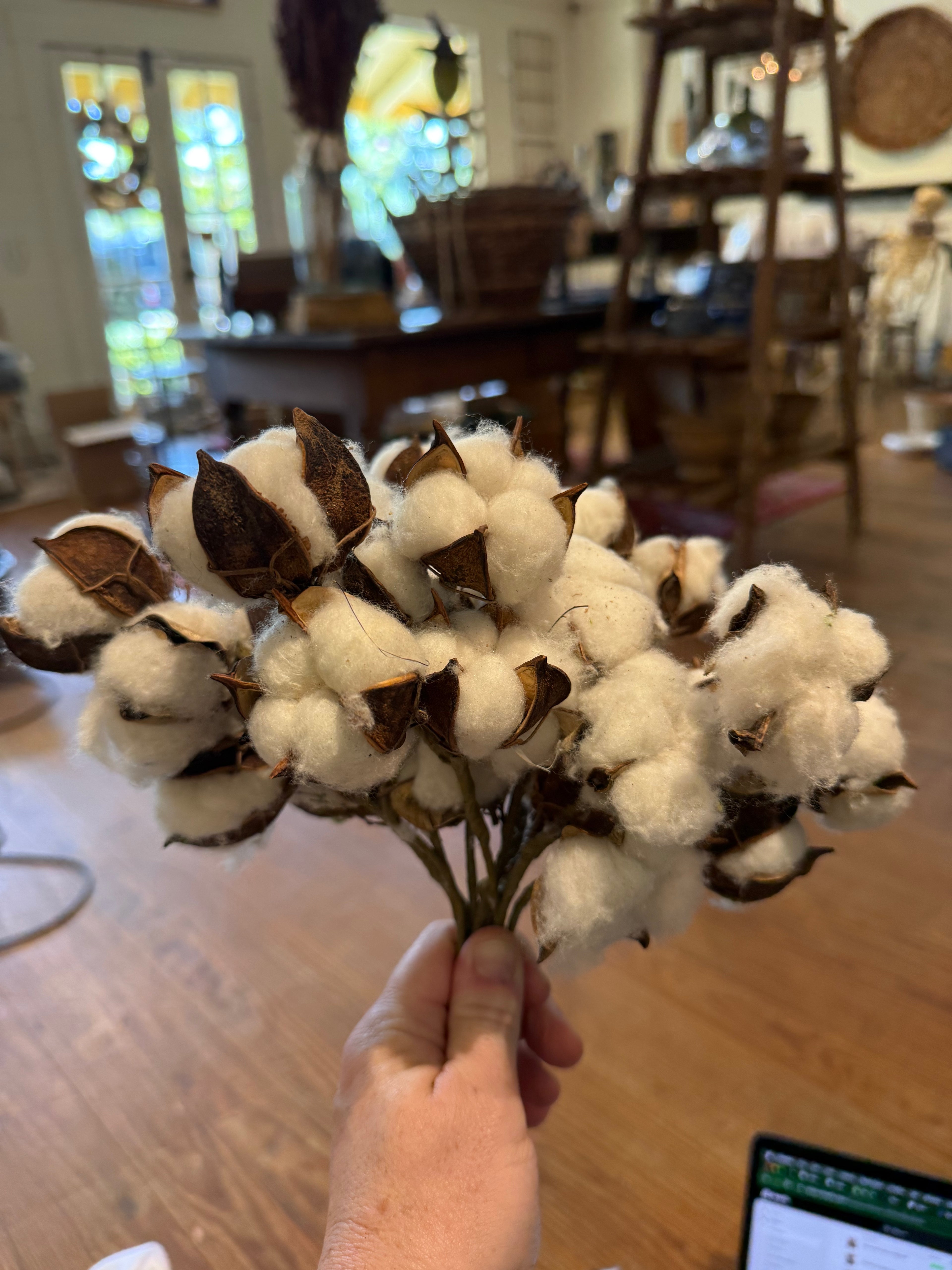 Cotton Bundle