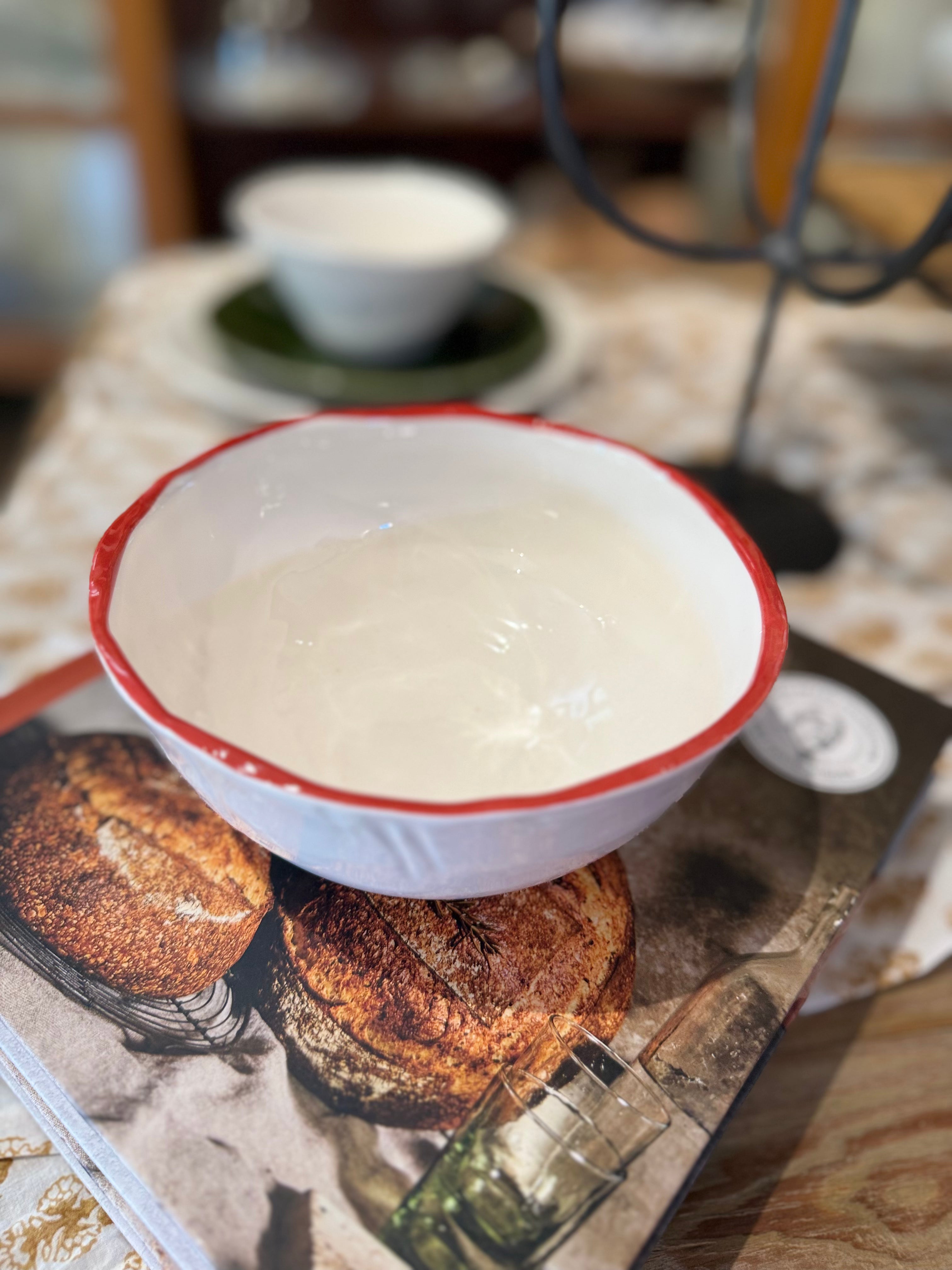 Relish Red Edge Soup Bowl