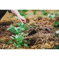 Triangle Hoe Garden Tool