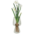 Tall Bulb Vase