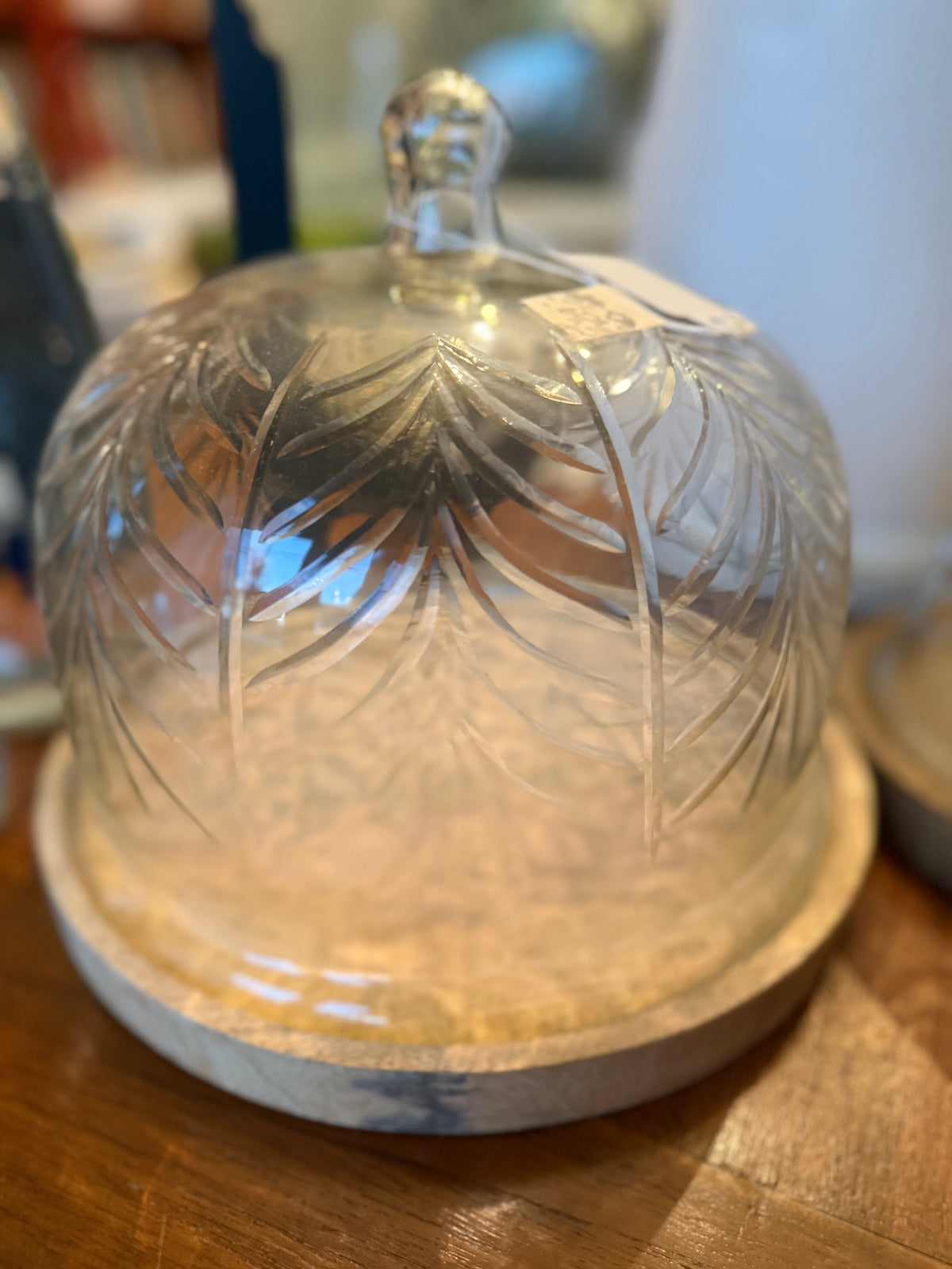 Cake Cloche