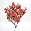Preserved Oak Leaves, Red