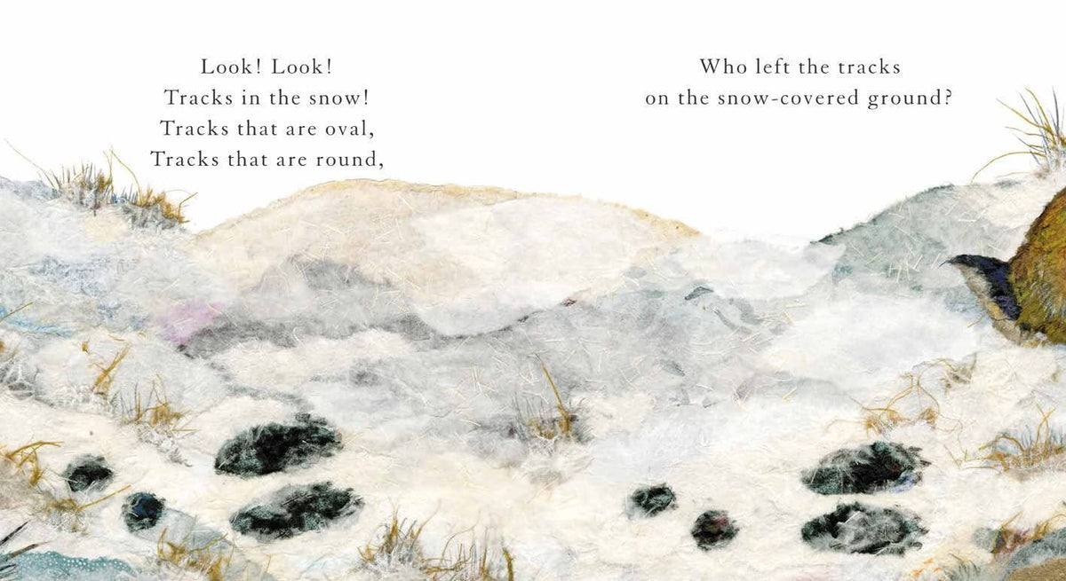 Whose Tracks in the Snow?