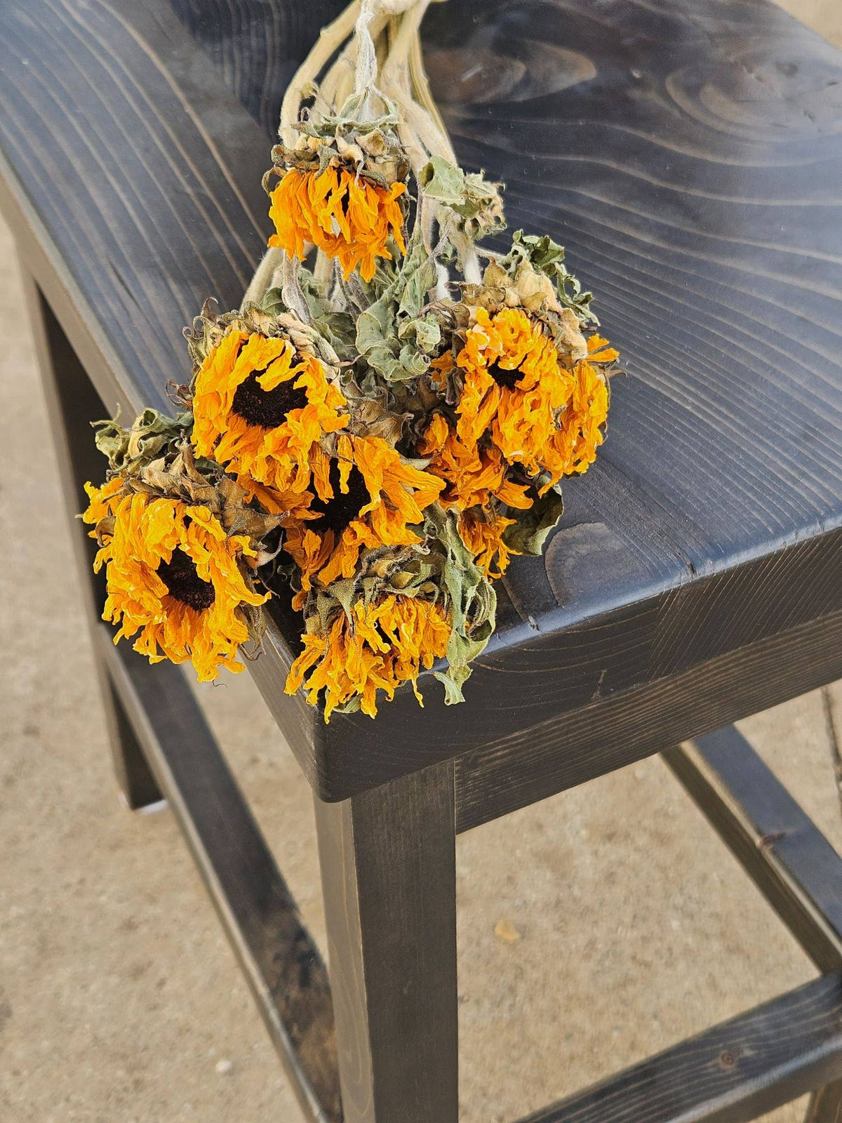 Dried Black-Eyed Sunflowers